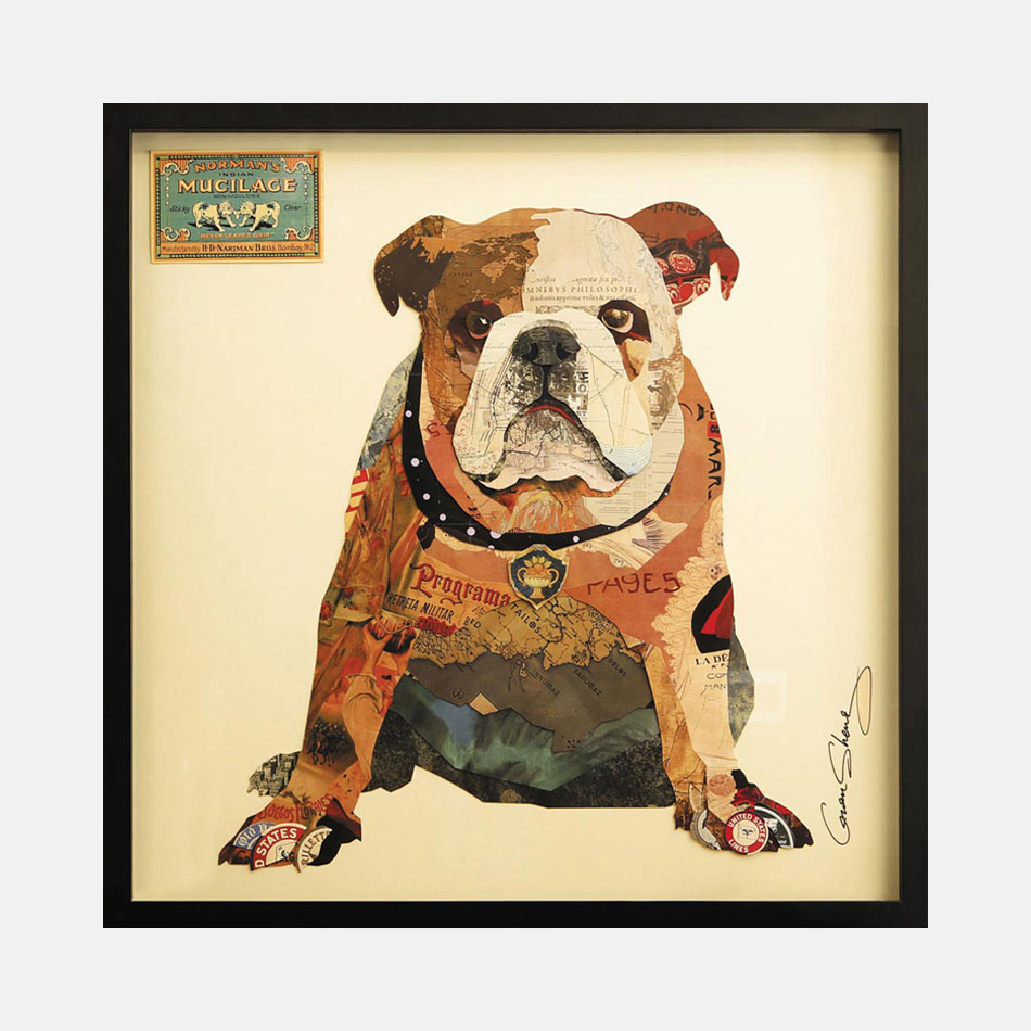 > 斗牛犬-拼贴画