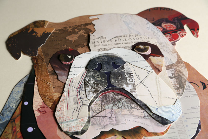> 斗牛犬-拼贴画 > 斗牛犬-拼贴画